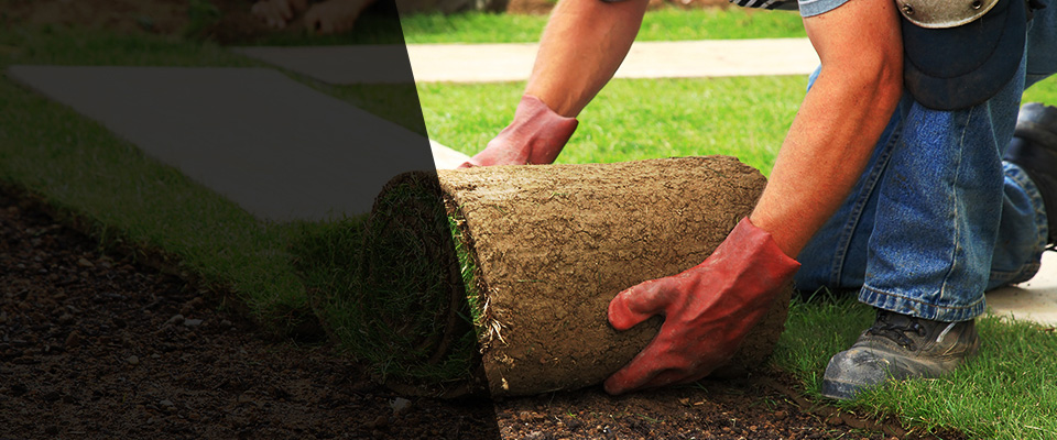 Lisbon Landscapers